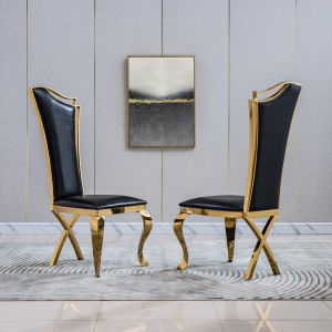 Leatherette Unique Design Backrest Dining Chair with Stainless Steel Legs Set of 2